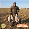 Image 2 : 3 - DAY WATERFOWL & SAND HILL CRANE HUNT IN ALBERTA CANADA FOR 1 HUNTER