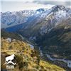 Image 2 : NEW ZEALAND TAHR FOUNDATION