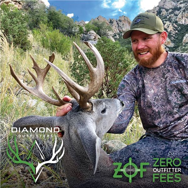 5-DAY COUES DEER HUNT FOR 4 HUNTERS (with free mountain lion bonus) in Arizona