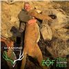 Image 3 : 5-DAY COUES DEER HUNT FOR 4 HUNTERS (with free mountain lion bonus) in Arizona