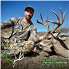 Image 6 : 5-DAY COUES DEER HUNT FOR 4 HUNTERS (with free mountain lion bonus) in Arizona