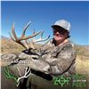 Image 7 : 5-DAY COUES DEER HUNT FOR 4 HUNTERS (with free mountain lion bonus) in Arizona