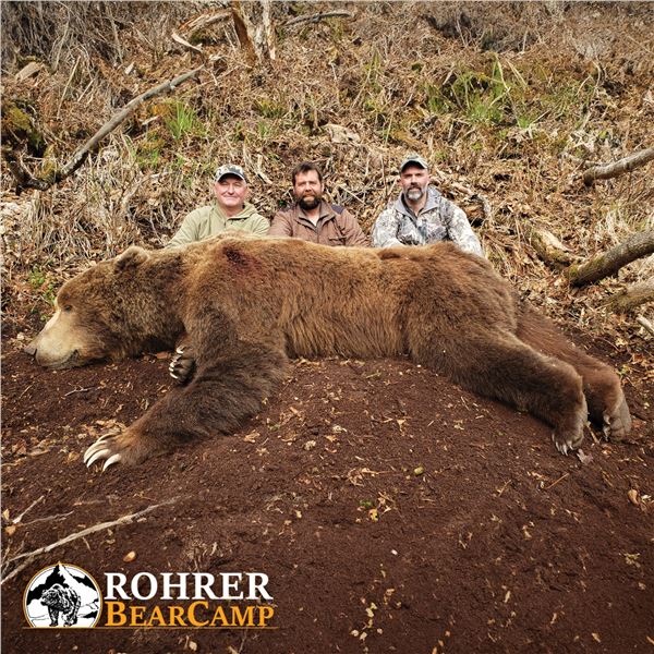12 - DAY SPRING KODIAK ISLAND BROWN BEAR HUNT FOR 1 HUNTER