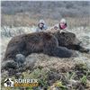 Image 3 : 12 - DAY SPRING KODIAK ISLAND BROWN BEAR HUNT FOR 1 HUNTER