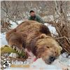 Image 5 : 12 - DAY SPRING KODIAK ISLAND BROWN BEAR HUNT FOR 1 HUNTER