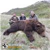 Image 6 : 12 - DAY SPRING KODIAK ISLAND BROWN BEAR HUNT FOR 1 HUNTER
