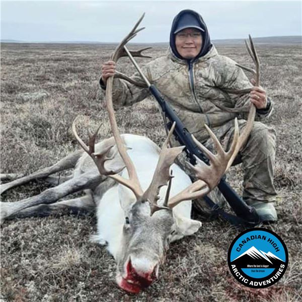 5-DAY ARCTIC ISLAND CARIBOU HUNT FOR 1 HUNTER