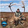Image 2 : 5-DAY ARCTIC ISLAND CARIBOU HUNT FOR 1 HUNTER