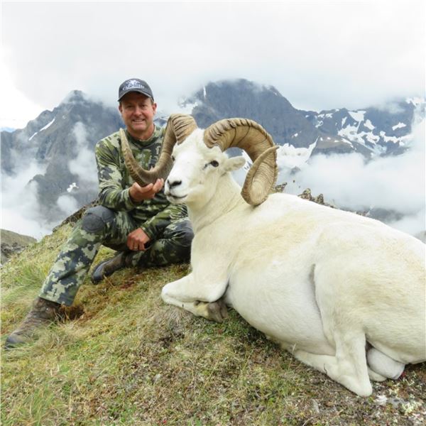 ALASKA CHUGACH DALL’S SHEEP TAG