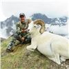 ALASKA CHUGACH DALL’S SHEEP TAG