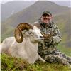 Image 3 : ALASKA CHUGACH DALL’S SHEEP TAG