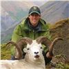 Image 4 : ALASKA CHUGACH DALL’S SHEEP TAG
