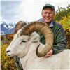 Image 5 : ALASKA CHUGACH DALL’S SHEEP TAG