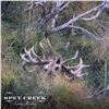 Image 1 : 5-DAY NEW ZEALAND RED STAG HUNT FOR 2 HUNTERS AND 2 NON-HUNTERS