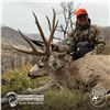 Image 1 : 4 - DAY MULE DEER HUNT FOR 2 HUNTERS