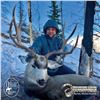 Image 4 : 4 - DAY MULE DEER HUNT FOR 2 HUNTERS