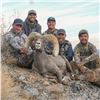 CALIFORNIA DESERT BIGHORN SHEEP (Open-Zone Tag)