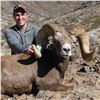 Image 2 : CALIFORNIA DESERT BIGHORN SHEEP (Open-Zone Tag)