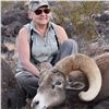 Image 3 : CALIFORNIA DESERT BIGHORN SHEEP (Open-Zone Tag)