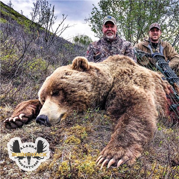 10-DAY COASTAL BROWN BEAR HUNT FOR 1 HUNTER AND 1 NON-HUNTER