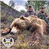 Image 1 : 10-DAY COASTAL BROWN BEAR HUNT FOR 1 HUNTER AND 1 NON-HUNTER