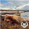 Image 2 : 10-DAY COASTAL BROWN BEAR HUNT FOR 1 HUNTER AND 1 NON-HUNTER