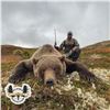 Image 3 : 10-DAY COASTAL BROWN BEAR HUNT FOR 1 HUNTER AND 1 NON-HUNTER
