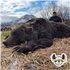 Image 4 : 10-DAY COASTAL BROWN BEAR HUNT FOR 1 HUNTER AND 1 NON-HUNTER