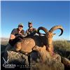 Image 1 : 3-DAY BARBARY SHEEP HUNT FOR 1 HUNTER AND 1 NON-HUNTER IN MOROCCO