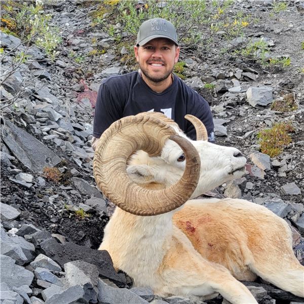 10 - DAY DALL’S SHEEP/ ARCTIC GRIZZLY/BARREN GROUND/CARIBOU HUNT FOR 1 HUNTER IN ALASKA[x=#