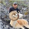 Image 1 : 10 - DAY DALL’S SHEEP/ ARCTIC GRIZZLY/BARREN GROUND/CARIBOU HUNT FOR 1 HUNTER IN ALASKA[x=#