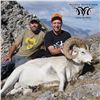 Image 6 : 10 - DAY DALL’S SHEEP/ ARCTIC GRIZZLY/BARREN GROUND/CARIBOU HUNT FOR 1 HUNTER IN ALASKA[x=#
