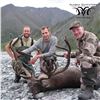 Image 7 : 10 - DAY DALL’S SHEEP/ ARCTIC GRIZZLY/BARREN GROUND/CARIBOU HUNT FOR 1 HUNTER IN ALASKA[x=#