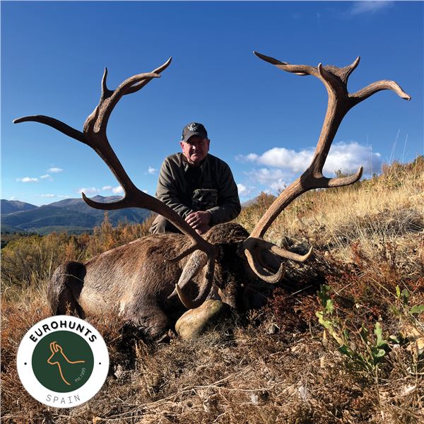 4-DAY SPAIN FREE RANGE IBERIAN RED DEER HUNT FOR 1 HUNTER