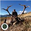 4-DAY SPAIN FREE RANGE IBERIAN RED DEER HUNT FOR 1 HUNTER
