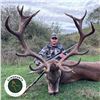 Image 2 : 4-DAY SPAIN FREE RANGE IBERIAN RED DEER HUNT FOR 1 HUNTER