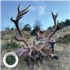 Image 3 : 4-DAY SPAIN FREE RANGE IBERIAN RED DEER HUNT FOR 1 HUNTER