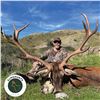 Image 4 : 4-DAY SPAIN FREE RANGE IBERIAN RED DEER HUNT FOR 1 HUNTER