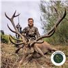 Image 5 : 4-DAY SPAIN FREE RANGE IBERIAN RED DEER HUNT FOR 1 HUNTER