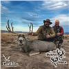 Image 1 : 4-DAY CROOKI MULE DEER HUNT FOR 1 HUNTER AND 1 NON-HUNTER