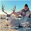 Image 2 : 4-DAY CROOKI MULE DEER HUNT FOR 1 HUNTER AND 1 NON-HUNTER