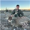 Image 3 : 4-DAY CROOKI MULE DEER HUNT FOR 1 HUNTER AND 1 NON-HUNTER