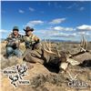 Image 6 : 4-DAY CROOKI MULE DEER HUNT FOR 1 HUNTER AND 1 NON-HUNTER