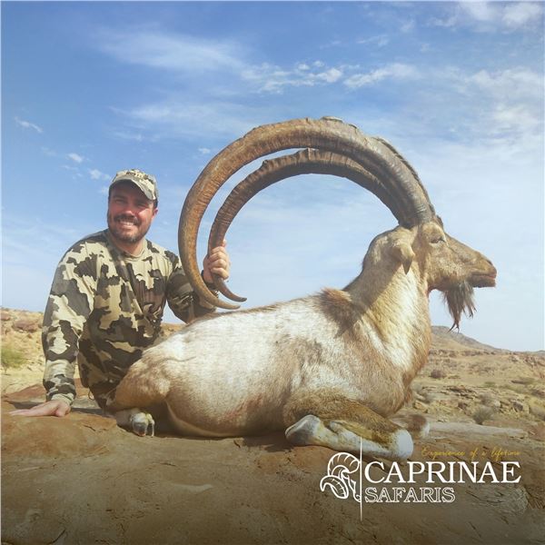 3-DAY SINDH IBEX (up to 39”) HUNT IN PAKISTAN FOR 1 HUNTER