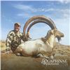 Image 1 : 3-DAY SINDH IBEX (up to 39”) HUNT IN PAKISTAN FOR 1 HUNTER