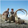 Image 4 : 3-DAY SINDH IBEX (up to 39”) HUNT IN PAKISTAN FOR 1 HUNTER