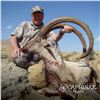 Image 7 : 3-DAY SINDH IBEX (up to 39”) HUNT IN PAKISTAN FOR 1 HUNTER