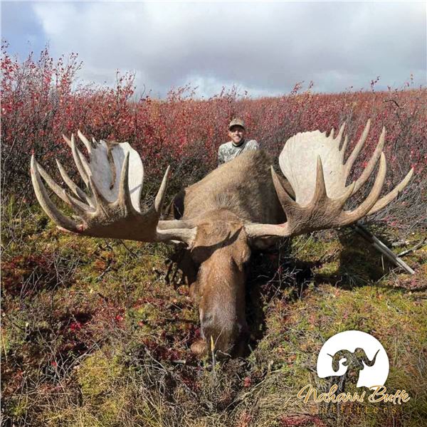 10-DAY ALASKA YUKON MOOSE BACKPACK HUNT FOR 1 HUNTER