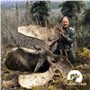 Image 4 : 10-DAY ALASKA YUKON MOOSE BACKPACK HUNT FOR 1 HUNTER