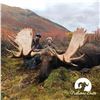 Image 6 : 10-DAY ALASKA YUKON MOOSE BACKPACK HUNT FOR 1 HUNTER